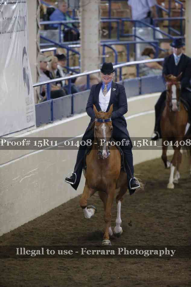 Proof 15R11_01408