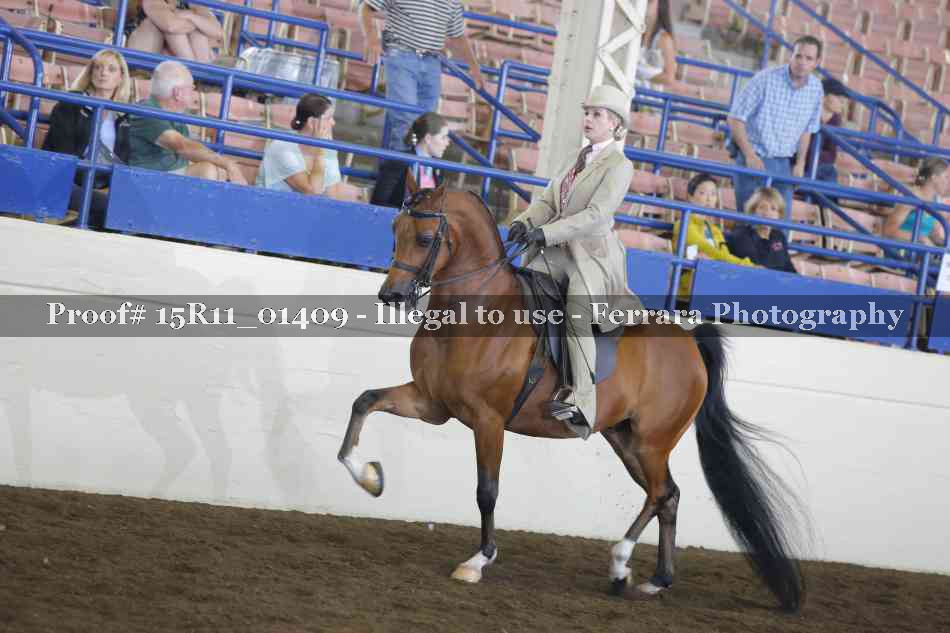 Proof 15R11_01409