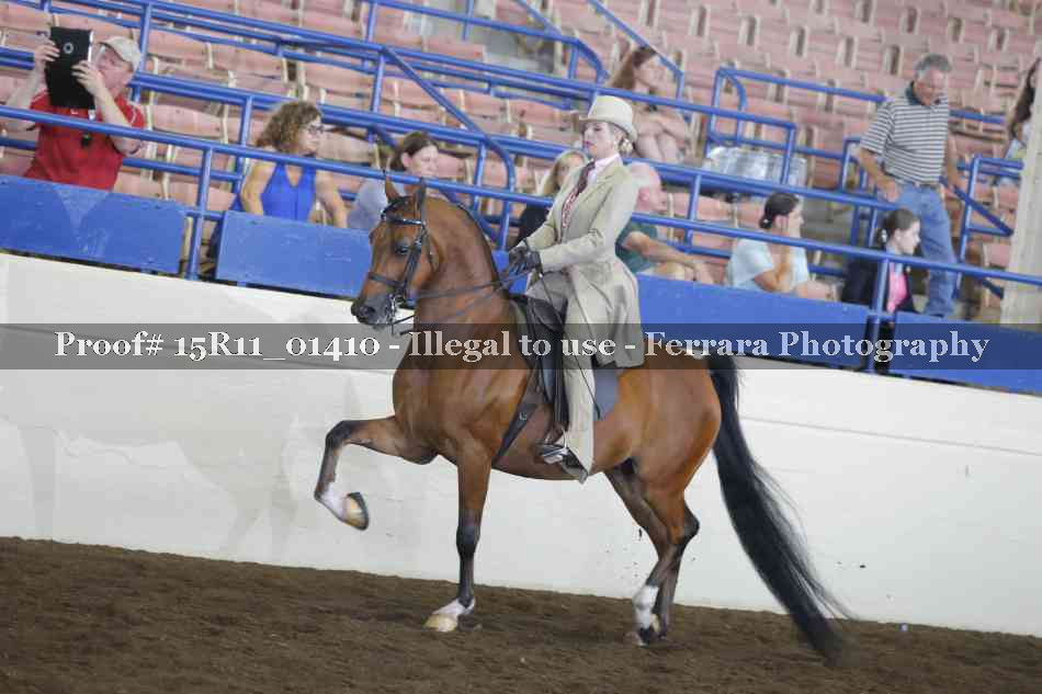 Proof 15R11_01410