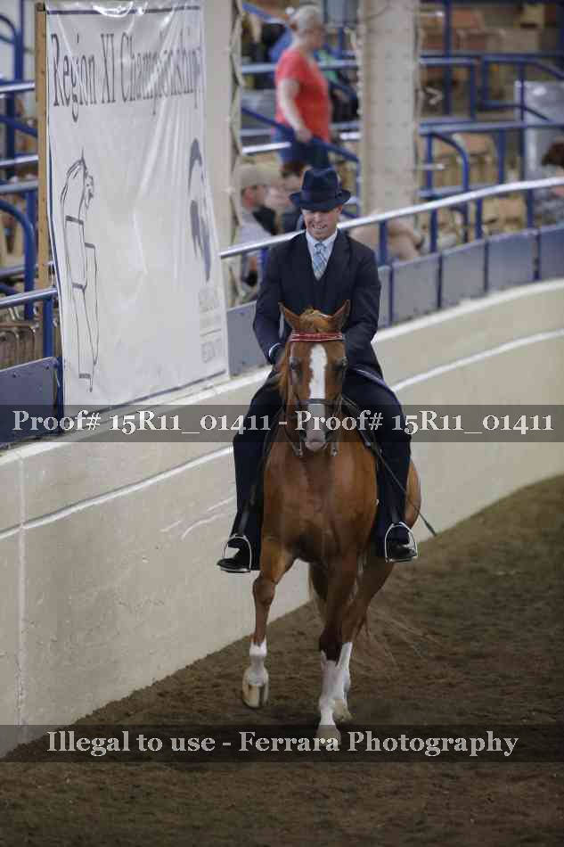 Proof 15R11_01411