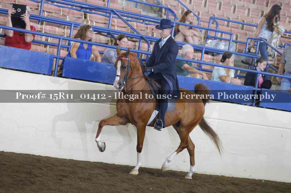 Proof 15R11_01412