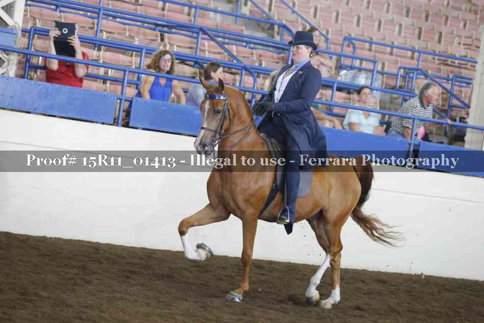 Proof 15R11_01413