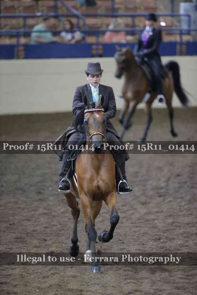 Proof 15R11_01414