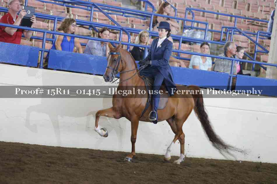 Proof 15R11_01415