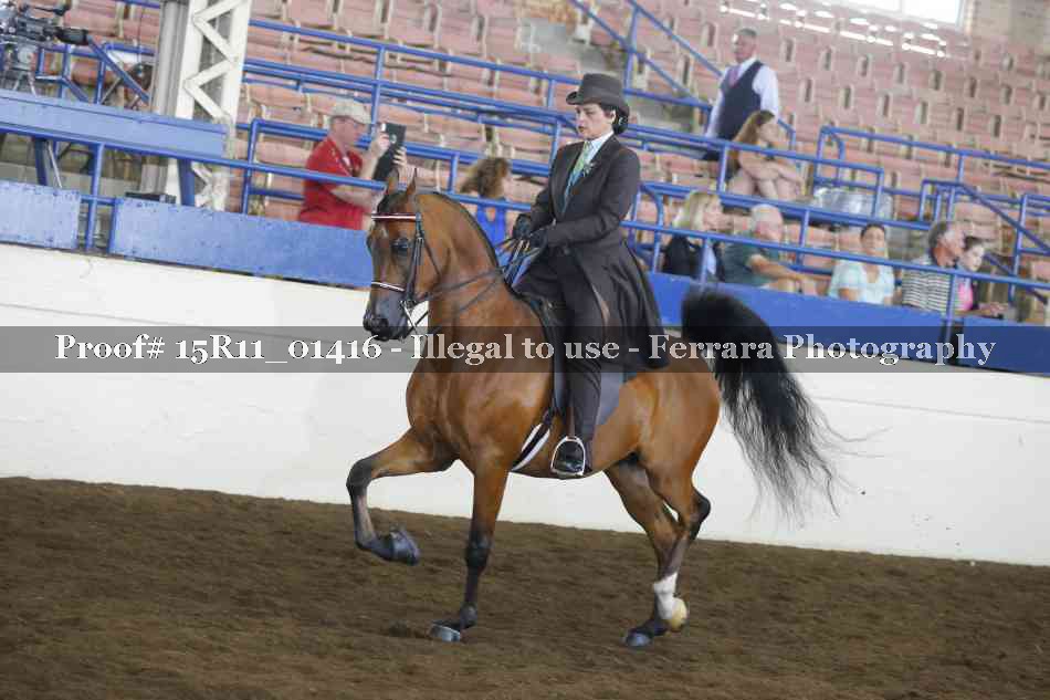 Proof 15R11_01416