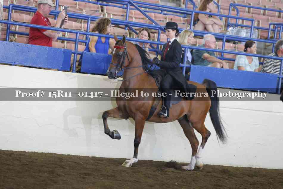 Proof 15R11_01417