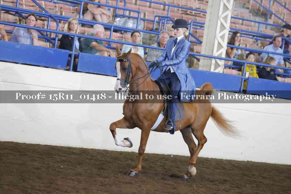 Proof 15R11_01418