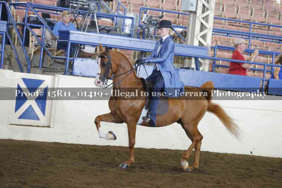 Proof 15R11_01419