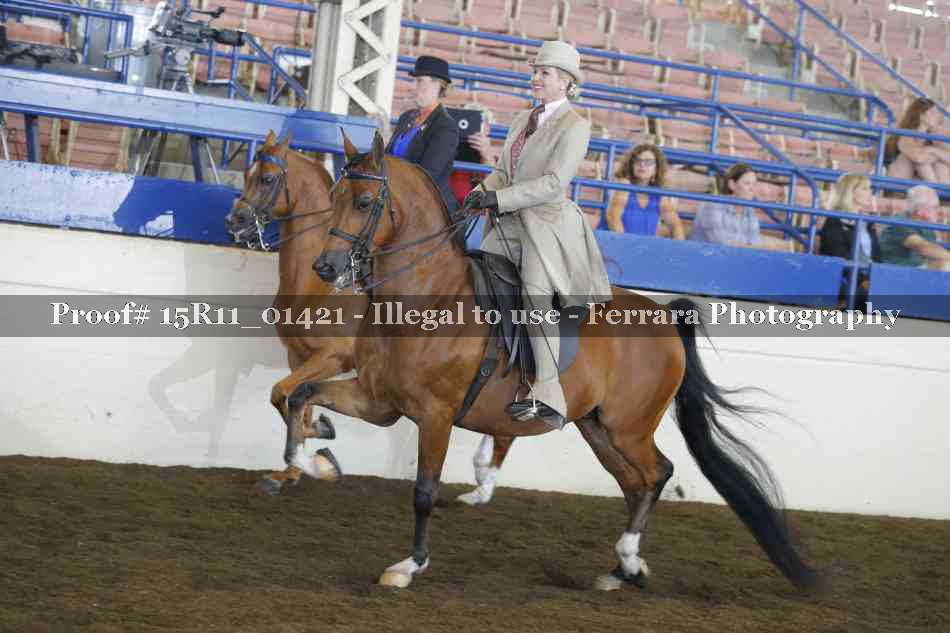 Proof 15R11_01421