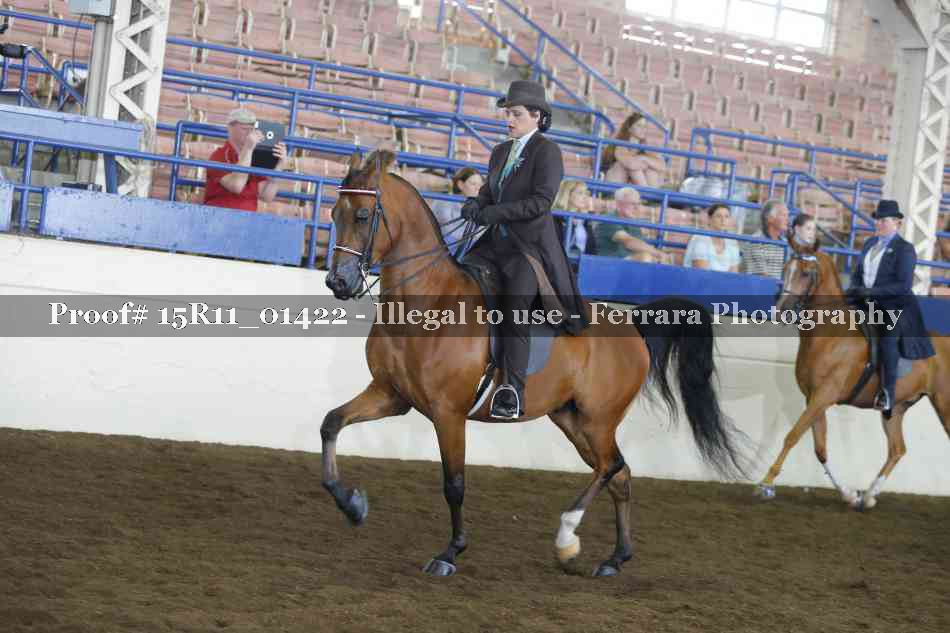 Proof 15R11_01422