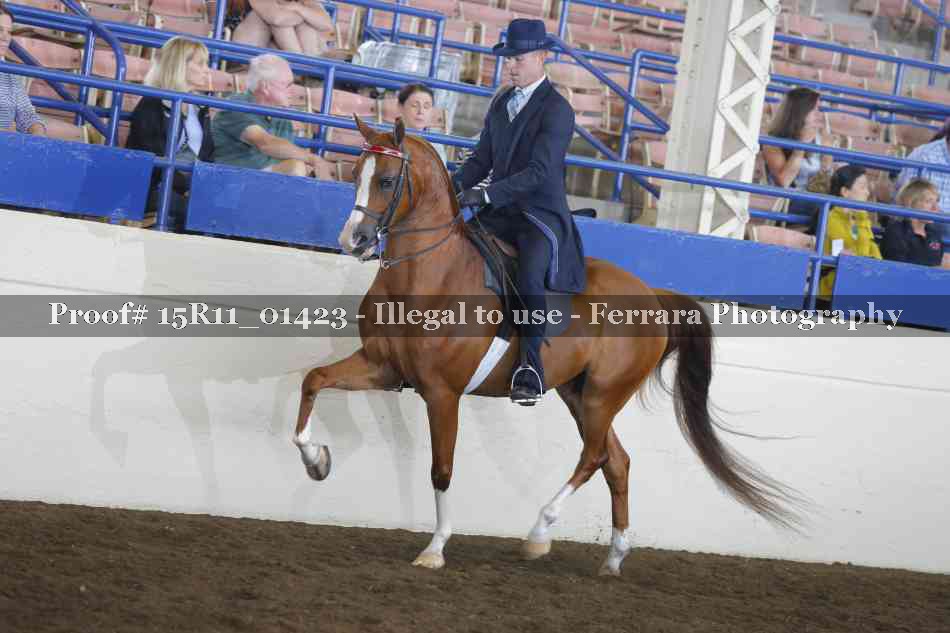 Proof 15R11_01423