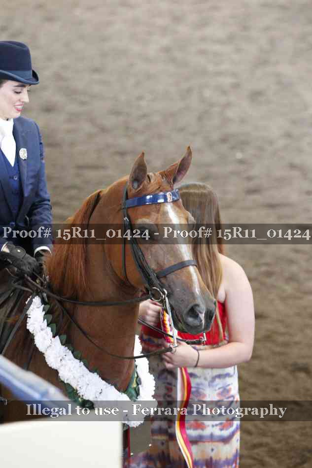 Proof 15R11_01424