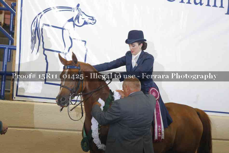 Proof 15R11_01425