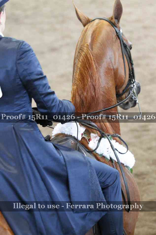Proof 15R11_01426