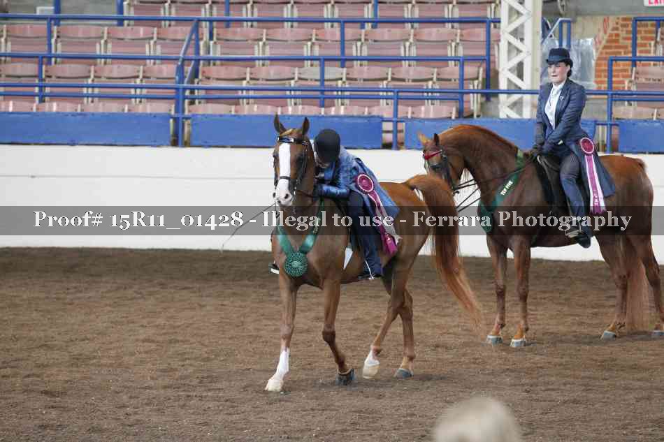 Proof 15R11_01428