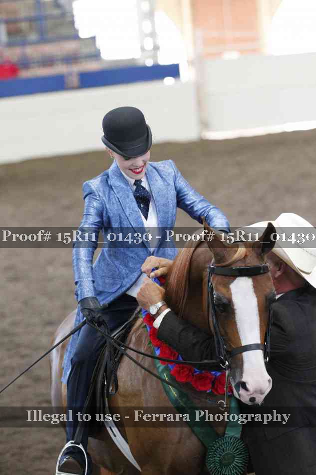 Proof 15R11_01430