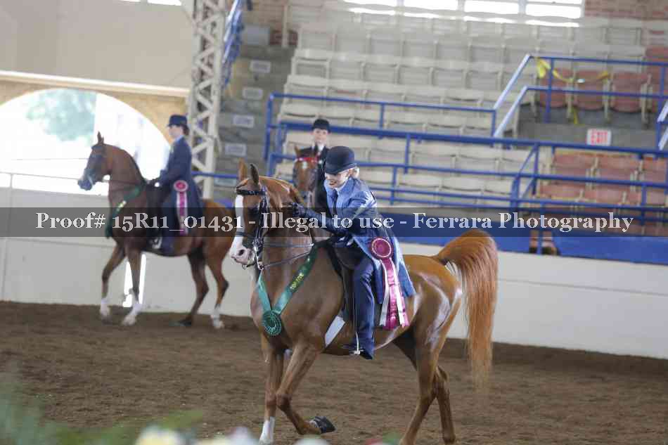 Proof 15R11_01431