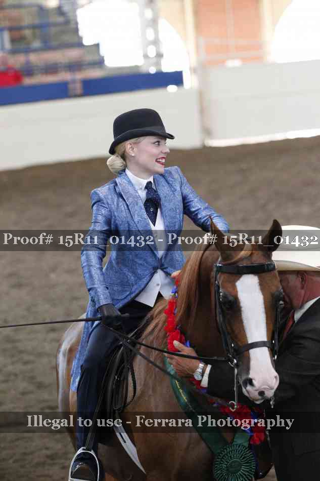 Proof 15R11_01432