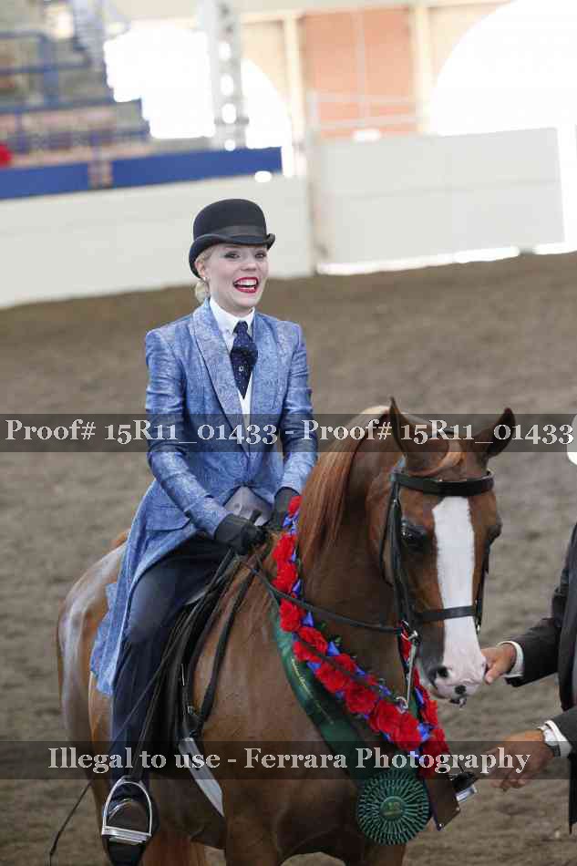 Proof 15R11_01433