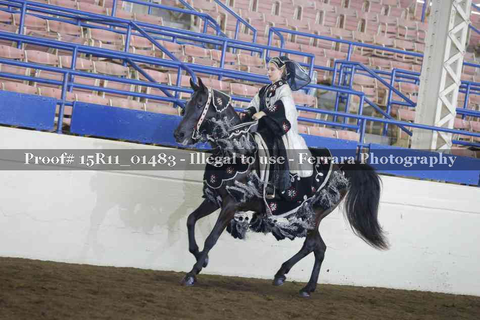 Proof 15R11_01483