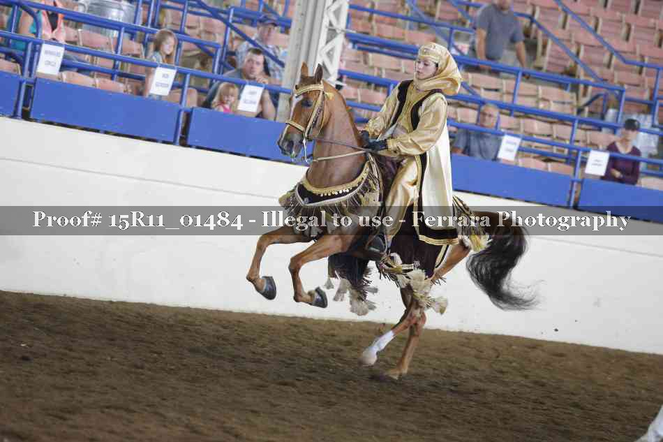 Proof 15R11_01484