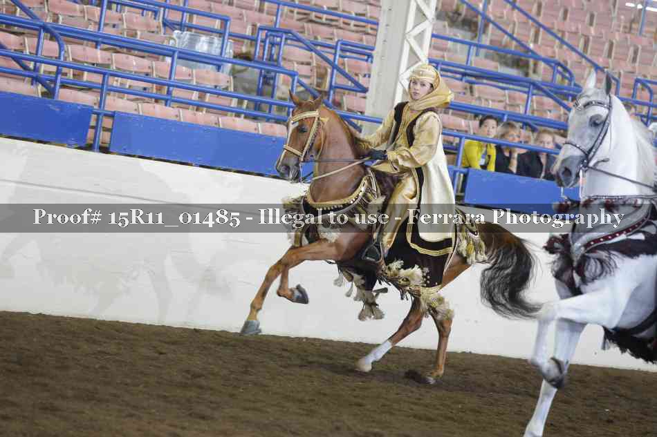 Proof 15R11_01485