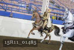 15R11_01485 proof