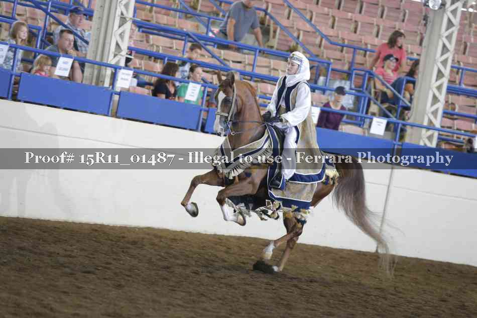 Proof 15R11_01487