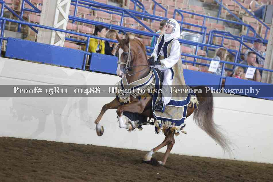 Proof 15R11_01488