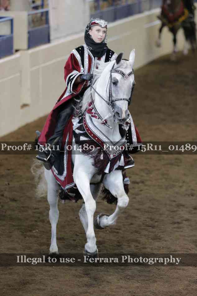 Proof 15R11_01489