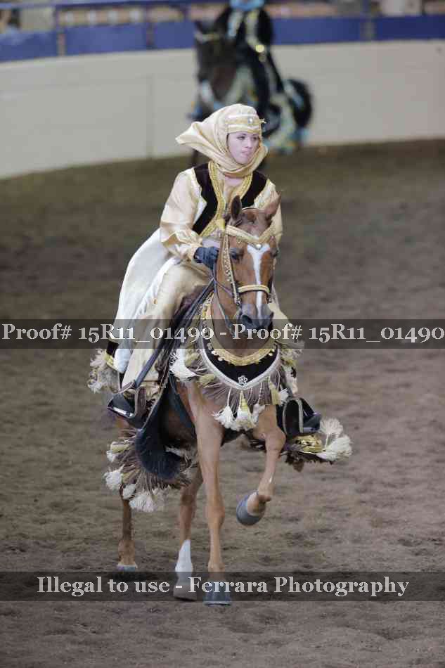 Proof 15R11_01490