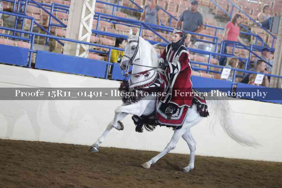 Proof 15R11_01491