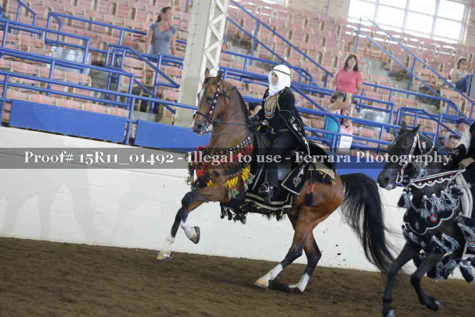 Proof 15R11_01492