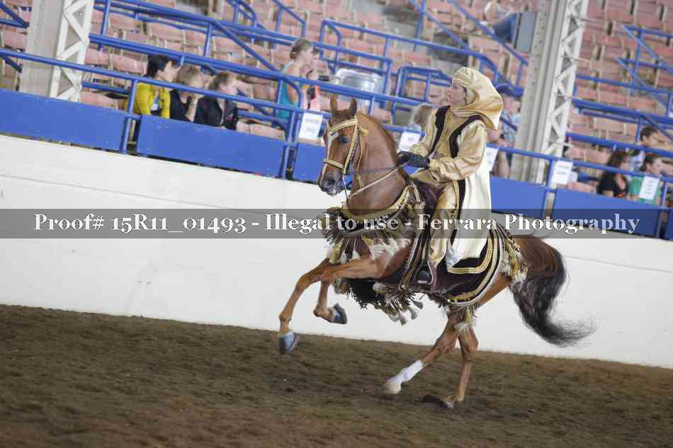 Proof 15R11_01493