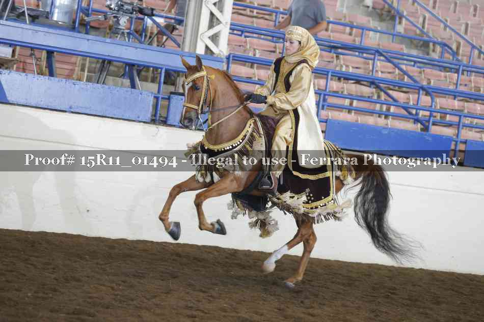 Proof 15R11_01494