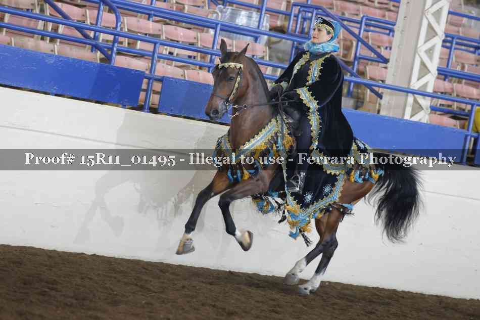 Proof 15R11_01495
