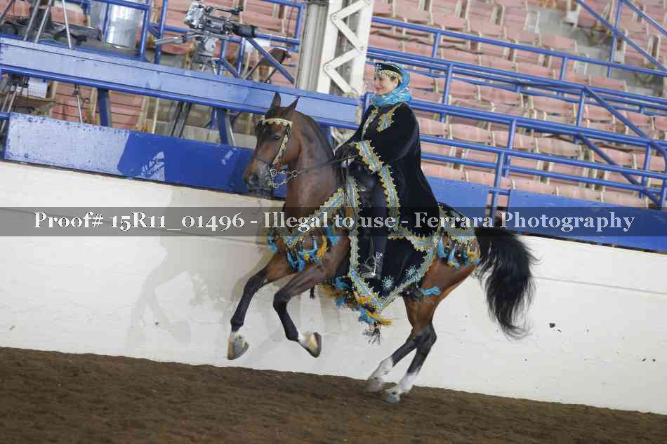 Proof 15R11_01496