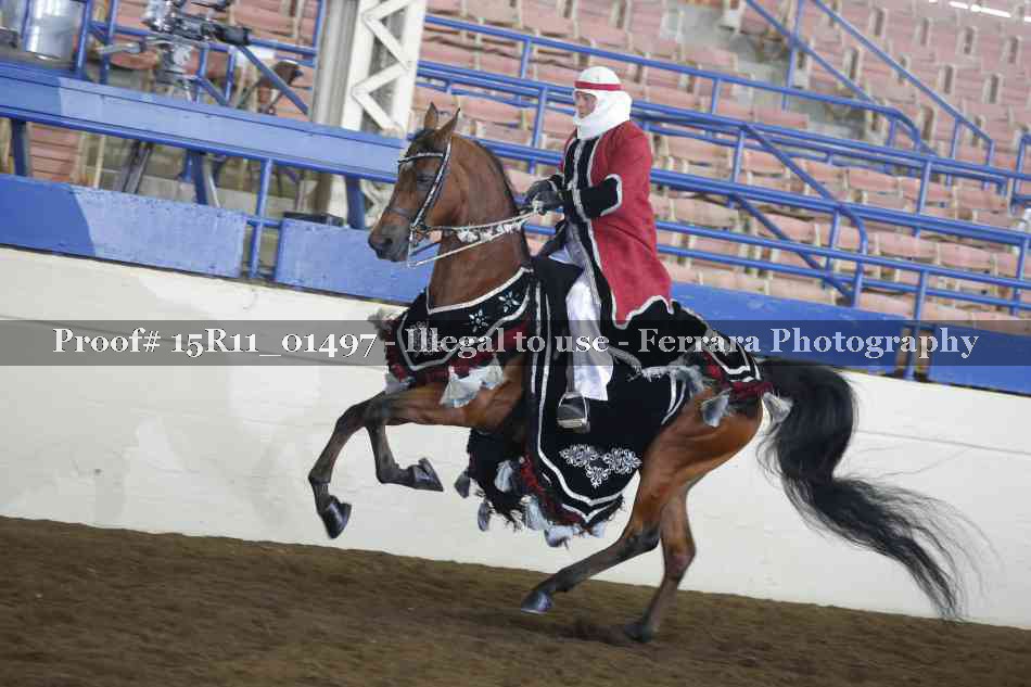 Proof 15R11_01497