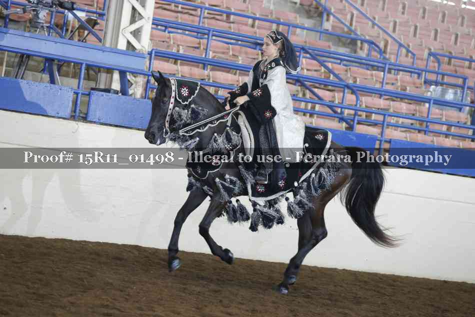 Proof 15R11_01498