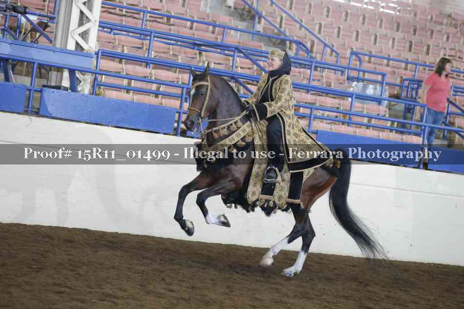 Proof 15R11_01499