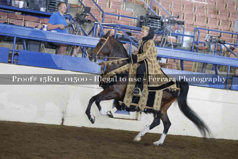 Proof 15R11_01500