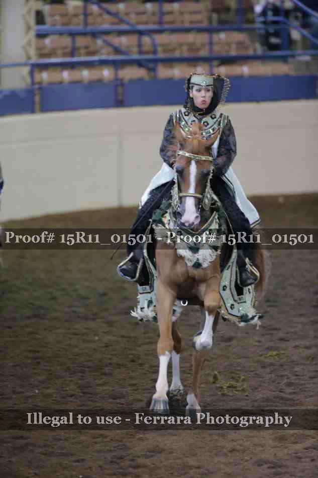 Proof 15R11_01501