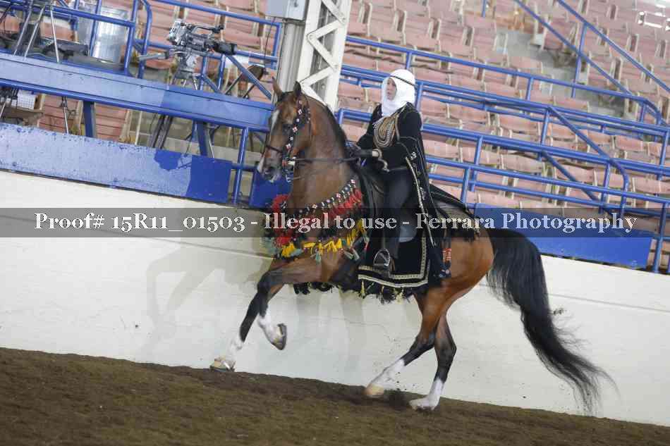 Proof 15R11_01503