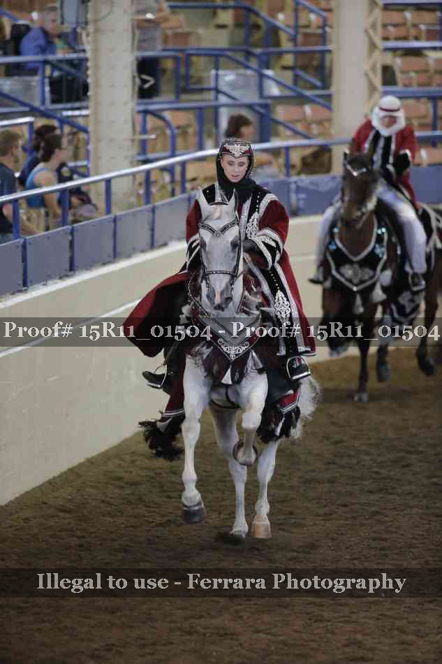 Proof 15R11_01504