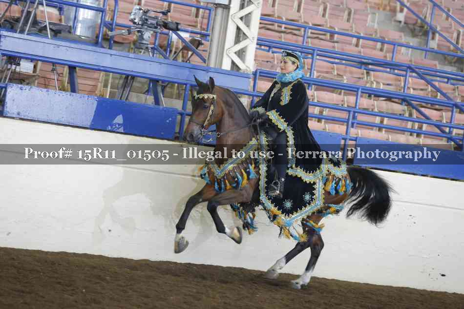 Proof 15R11_01505