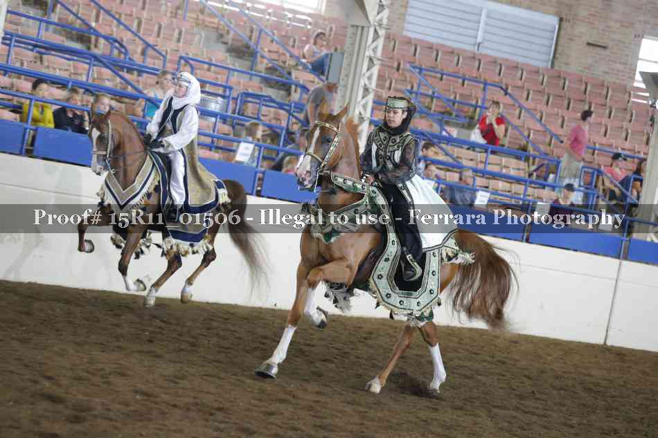 Proof 15R11_01506