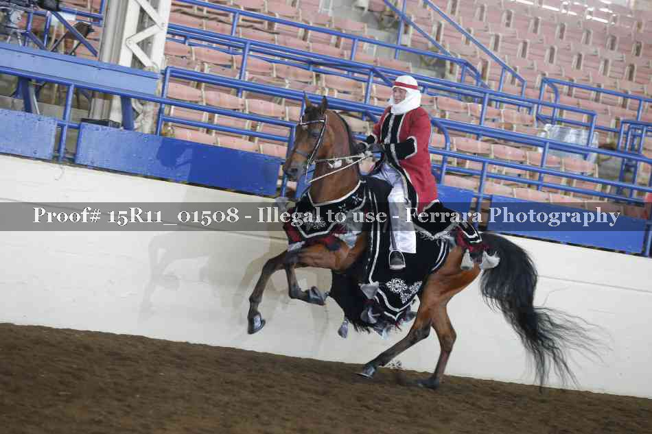 Proof 15R11_01508