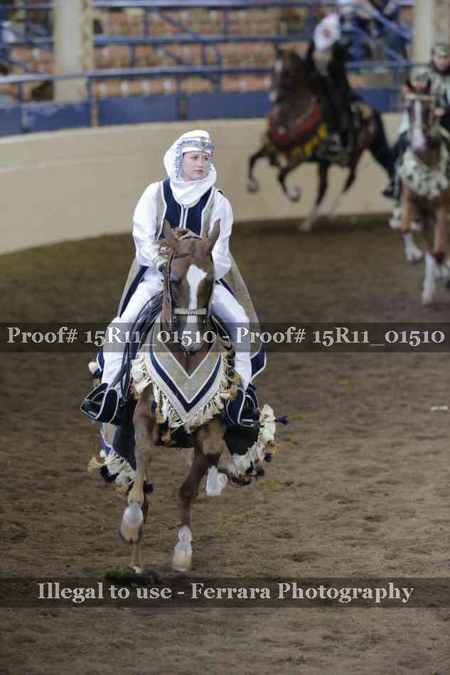 Proof 15R11_01510