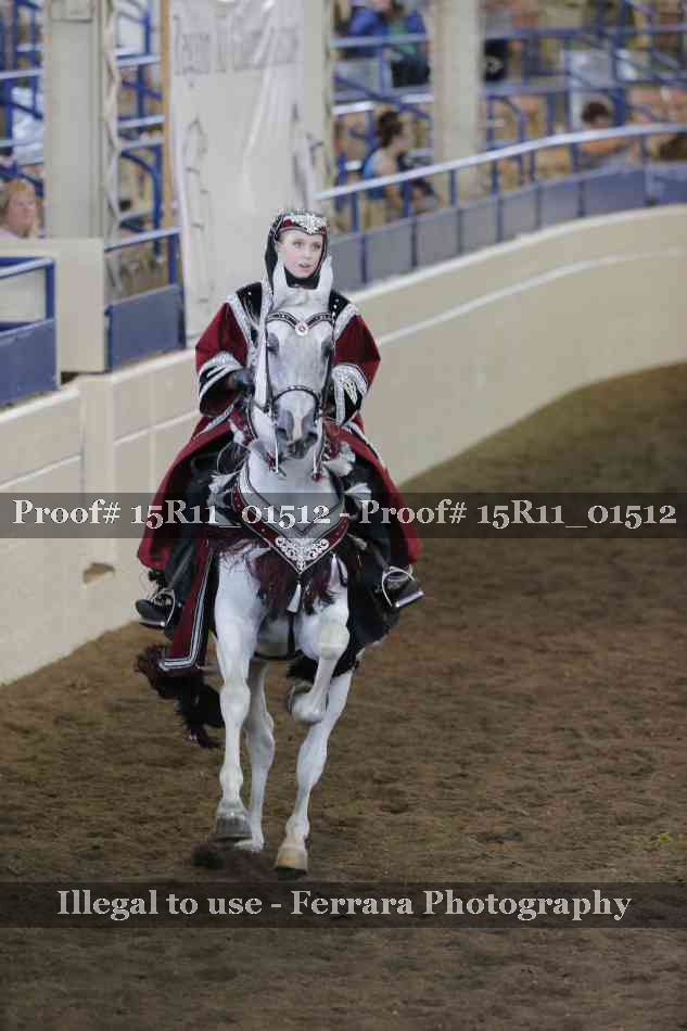 Proof 15R11_01512