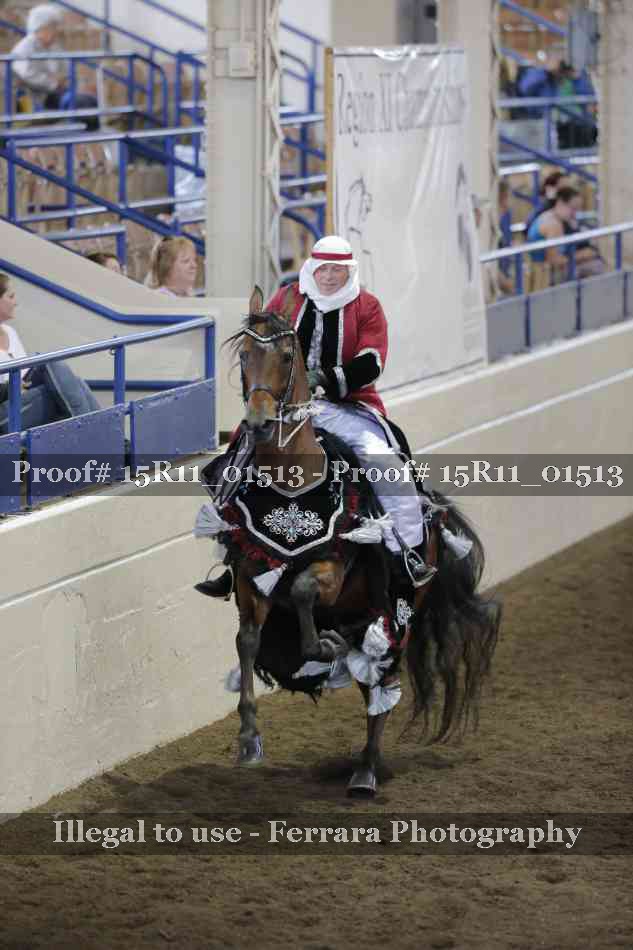 Proof 15R11_01513